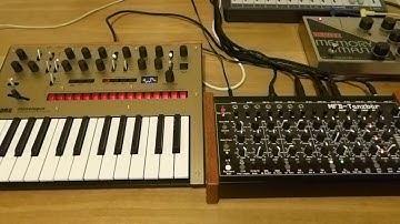 MFB Tanzbar, Korg Monologue & EHX Deluxe Memory Man