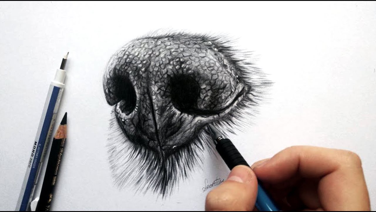 Dog Nose Drawing