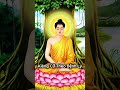 Kiêng Cữ Theo Bệnh Lý