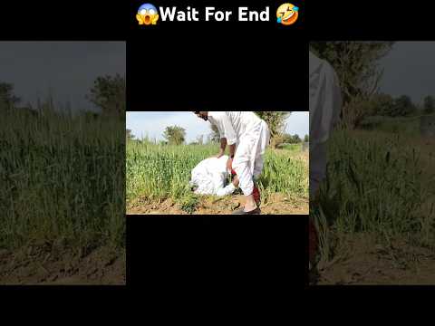 😱wait for end🤬 #villagecomedy #funny #ytshorts #ytalgorithm