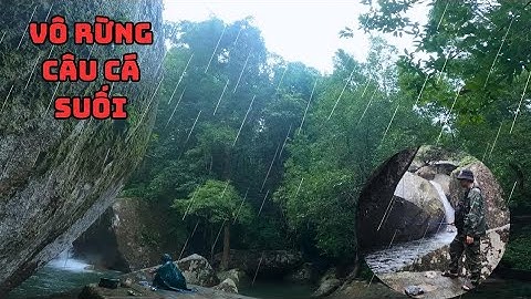 Chuyến Đi Câu Cá Suối Trong Rừng – Không Ngờ Gặp Đàn Cá Cảnh Tiền Triệu