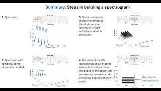 NCVS Insights 2(4): Anatomy of a Spectrogram Profile