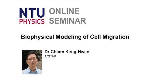 Physics Seminar: Biophysical Modeling of Cell Migration | Chiam Keng-Hwee