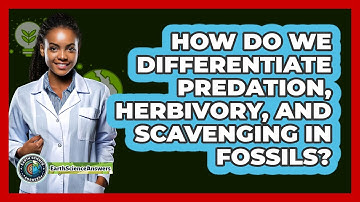 How Do We Differentiate Predation, Herbivory, And Scavenging In Fossils? - Earth Science Answers