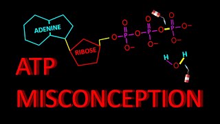 How to resolve ATP misconceptions