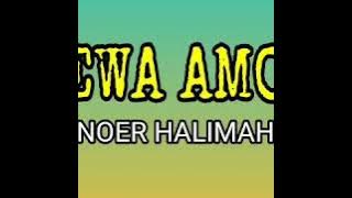 Dewa Amor - NOER HALIMAH ( lagu dangdut jadul )