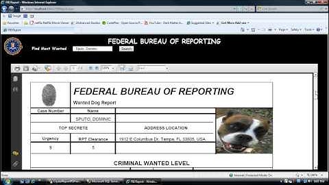How to create a C# ASP.NET Crystal Report (Part 1)