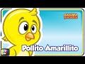 Pollito Amarillito - Gallina Pintadita 1