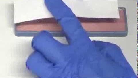 Add Paper Layer in Base Mold