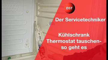 Was kostet Thermostat wechseln Kühlschrank?