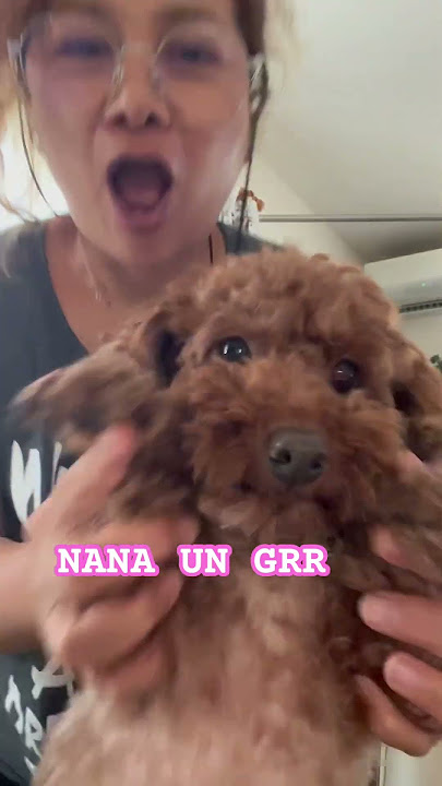 NANA GRRR