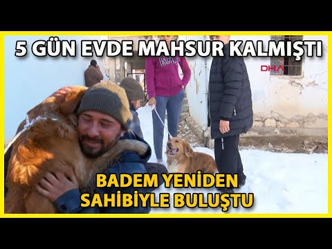 Video: Evcil Hayvanlarını Kaybeden Birine Nasıl Yardım Edebilirsiniz?