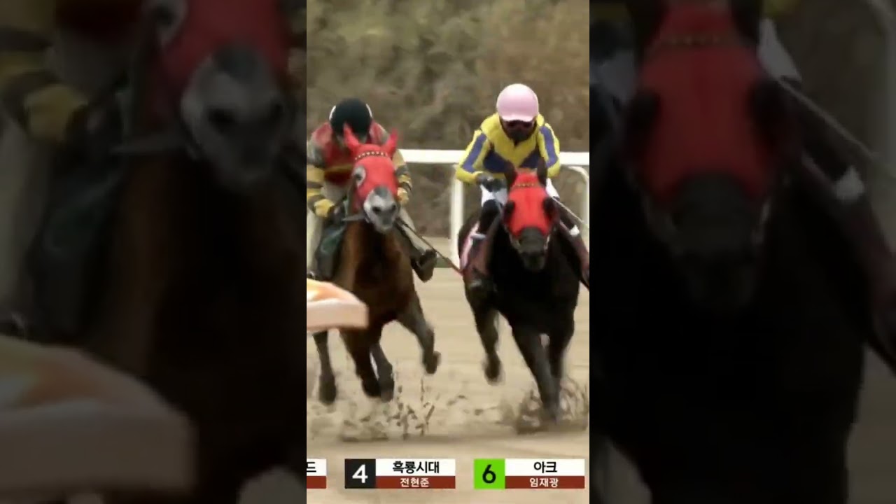 24배두방으로적중단승7번