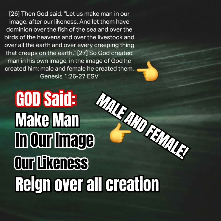 Genesis 1:26-27 Bible Verses made in God's image and likeness ...
