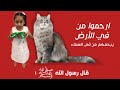حديث شريف قال رسول الله صلى الله عليه وسلم دخلت امرأة النار في هرة حديث حديث شريف 