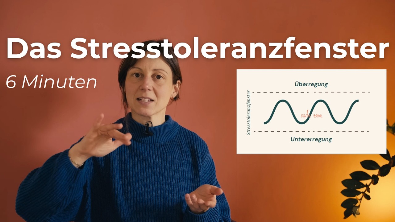 Das Stresstoleranzfenster - einfach erklärt