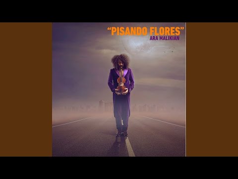 Ara Malikian: Pisando Flores