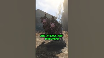 How To Get Fallout 4