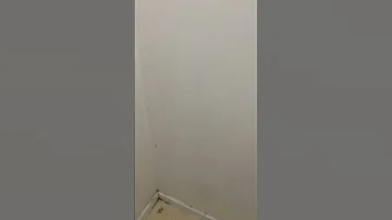 16 Najla Tounsiya 