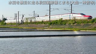 E6 Series Komachi and 701 Series running on the Ou Main Line amidst sprawling rice fields ①