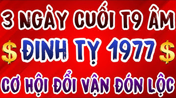 Đinh Tỵ 1977 Được Trời Nhắc 3 Ngày Cuối Tháng 9 ÂL – Làm Điều Này, Hạn Họa Sẽ Tránh Xa
