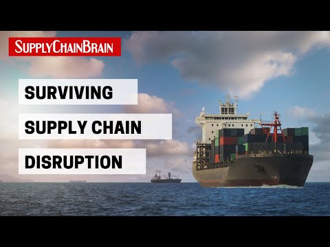 Navigating the Rocky Supply Chain Landscape