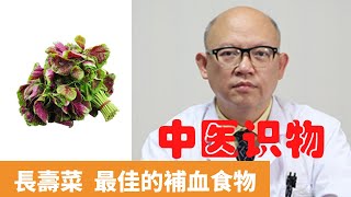 莧菜的功效與作用【保健養生】生生不息 