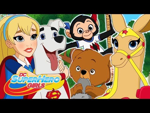 İlk 10 hayvan anı | DC Super Hero Girls Türkiye