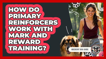 How Do Primary Reinforcers Work With Mark And Reward Training? - Obedient Dog Guide