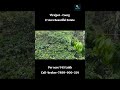 17 Acre Beautiful Coffee Estate for Sale | Virajpet | Coorg | Karnataka Resort Homestay Agricultural