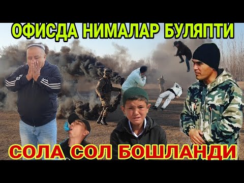 ОФИСДА СОЛА СОЛ