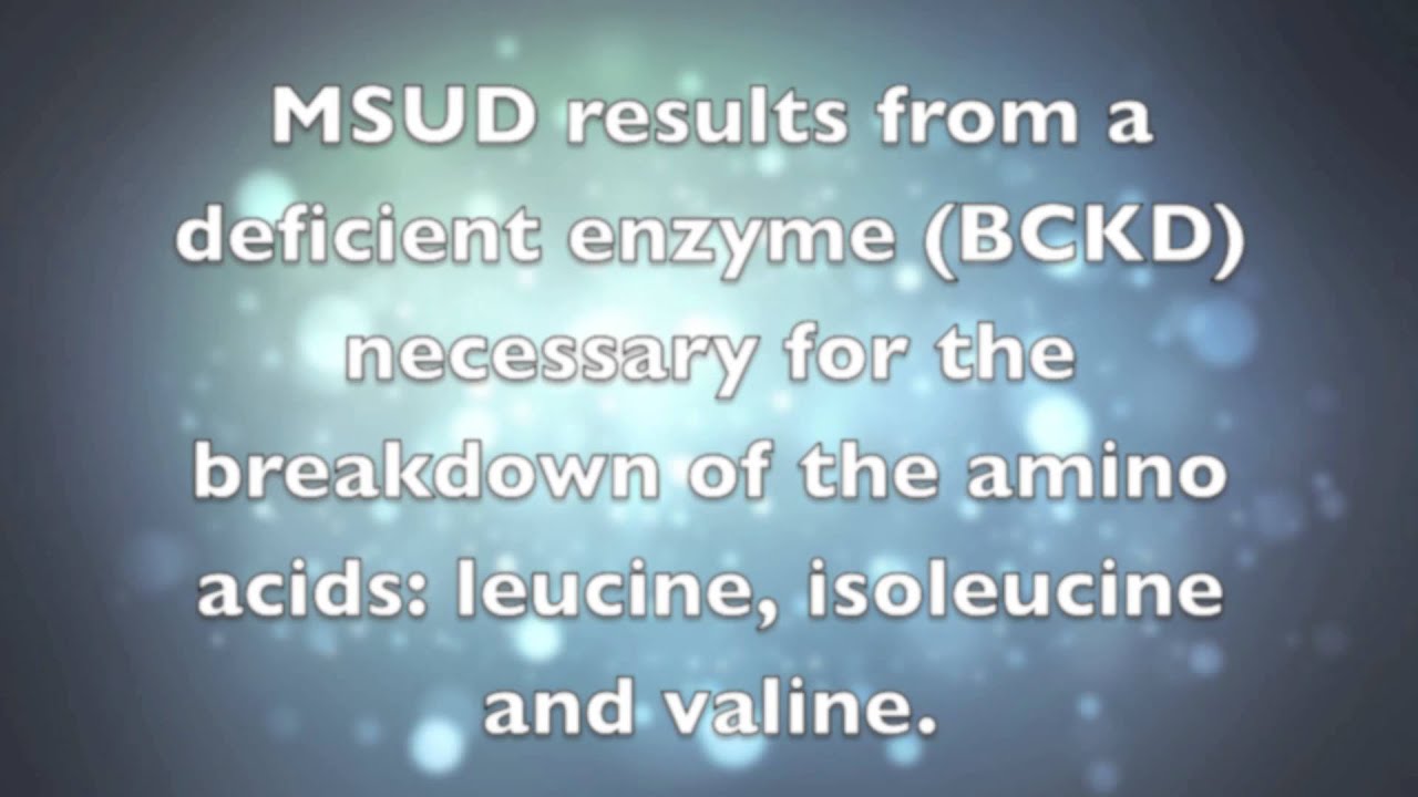 maple syrup urine disease icd 10 maple syrup urine disease icd 10