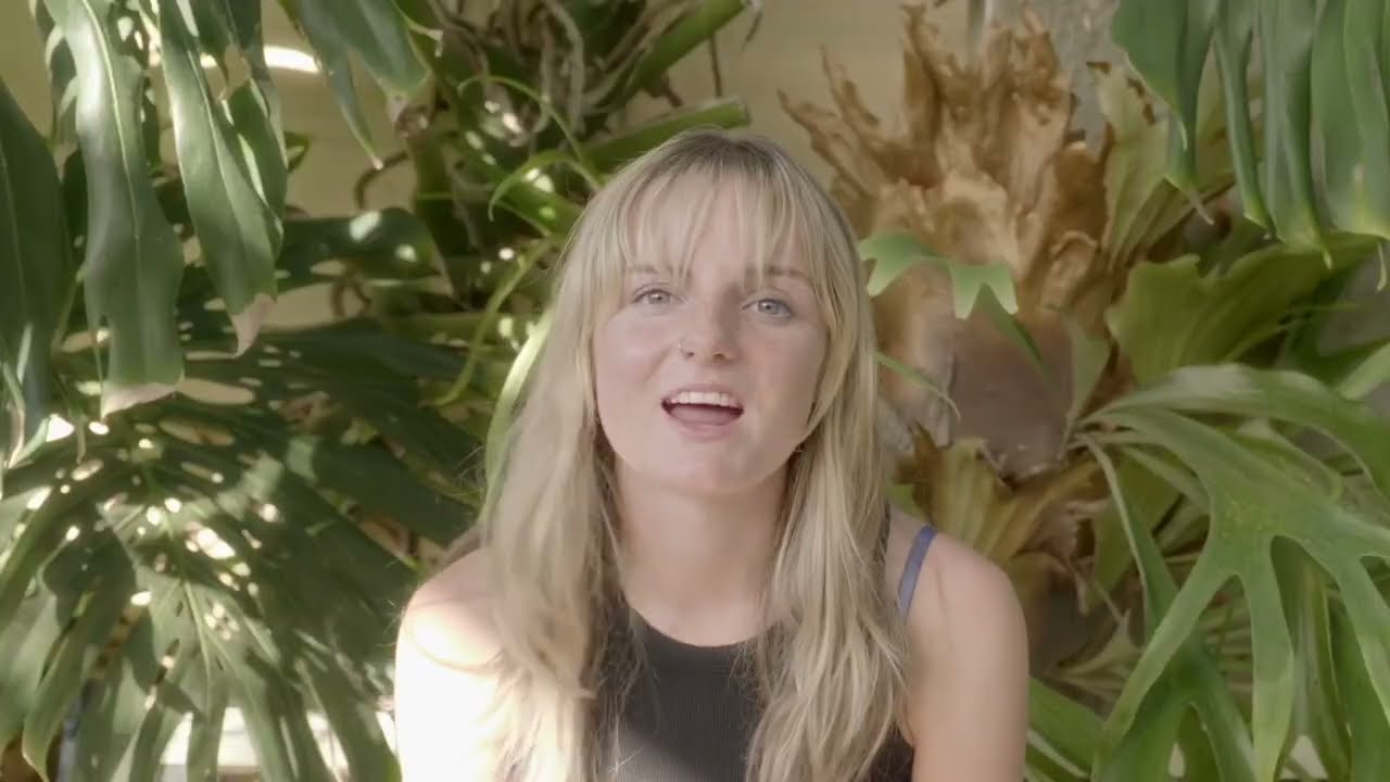 STELLAR - Down n Out