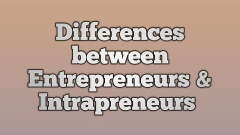 Differences between entrepreneurs and intrapreneurs