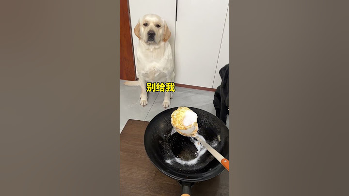 狗：我最近减肥不吃鸡蛋，快给小黑吧！ #狗子成精了 #当你有只嘴馋小狗 #我不是人但你是真狗