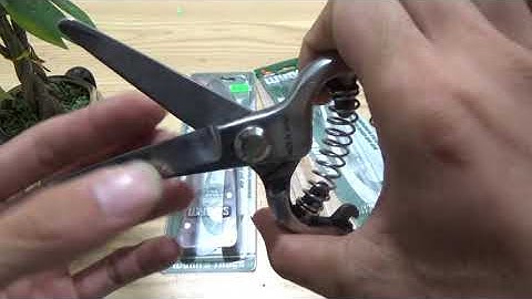 Bộ đôi cắt tỉa cành cao cấp mẫu mới 2020 cho các bác tham khảo I lh 0983781388- 0962417729