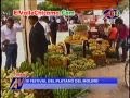 Vea como se Celebró la Feria del Plátano de Molino Cajanleque