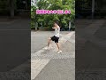 股関節が勝手に動くようになる5つのステップ#spiritsrun #ランニングフォーム #マラソン #マラソントレーニング #ランナー