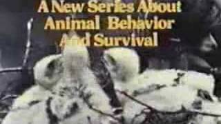 Wild, Wild World Of Animals Intro