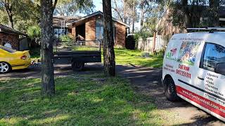 A1 Pest Control Box Hill - End of Lease Flea Treatment