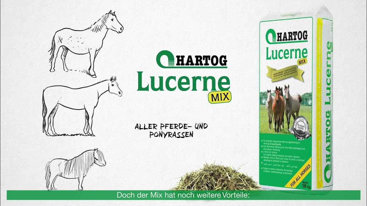 jeg er syg Ordliste Rug Hartog Lucerne-mix - Raufuttermix aus Luzerne - YouTube