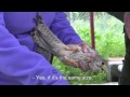 Tagging and releasing wild birds, March 13, 2014 | Cyprus Mail