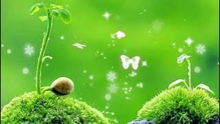 Calm Piano|| For Studying, Reading, Writing, Relaxing..