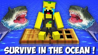 How do I SURVIVE ON A FLOATING DOOR IN THE OCEAN in Minecraft ? SECRET DOOR !