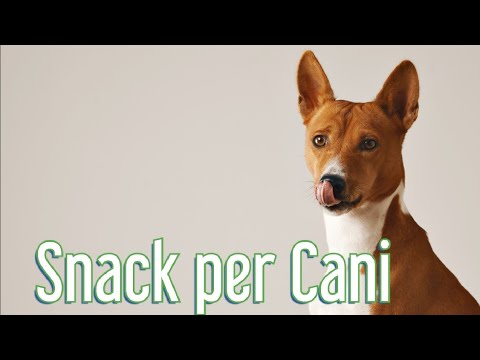 Video: Come Scegliere Gli Snack Per Cani?