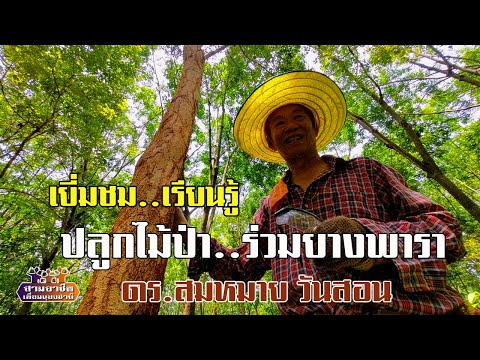 วีดีโอ: ร่วมปลูกต้นไม้ใต้ต้นส้ม - เรียนรู้ว่าอะไรจะเติบโตได้ดีด้วยส้ม