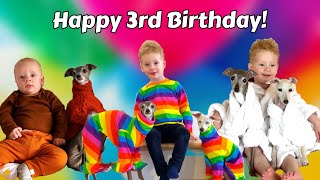 Tika’s Brother Turns 3! by tika the iggy 686 views 1 month ago 2 minutes, 39 seconds