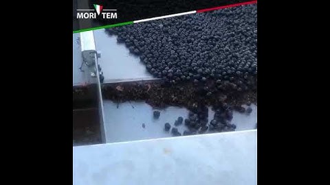 TAVOLO VIBRANTE DI SELEZIONE