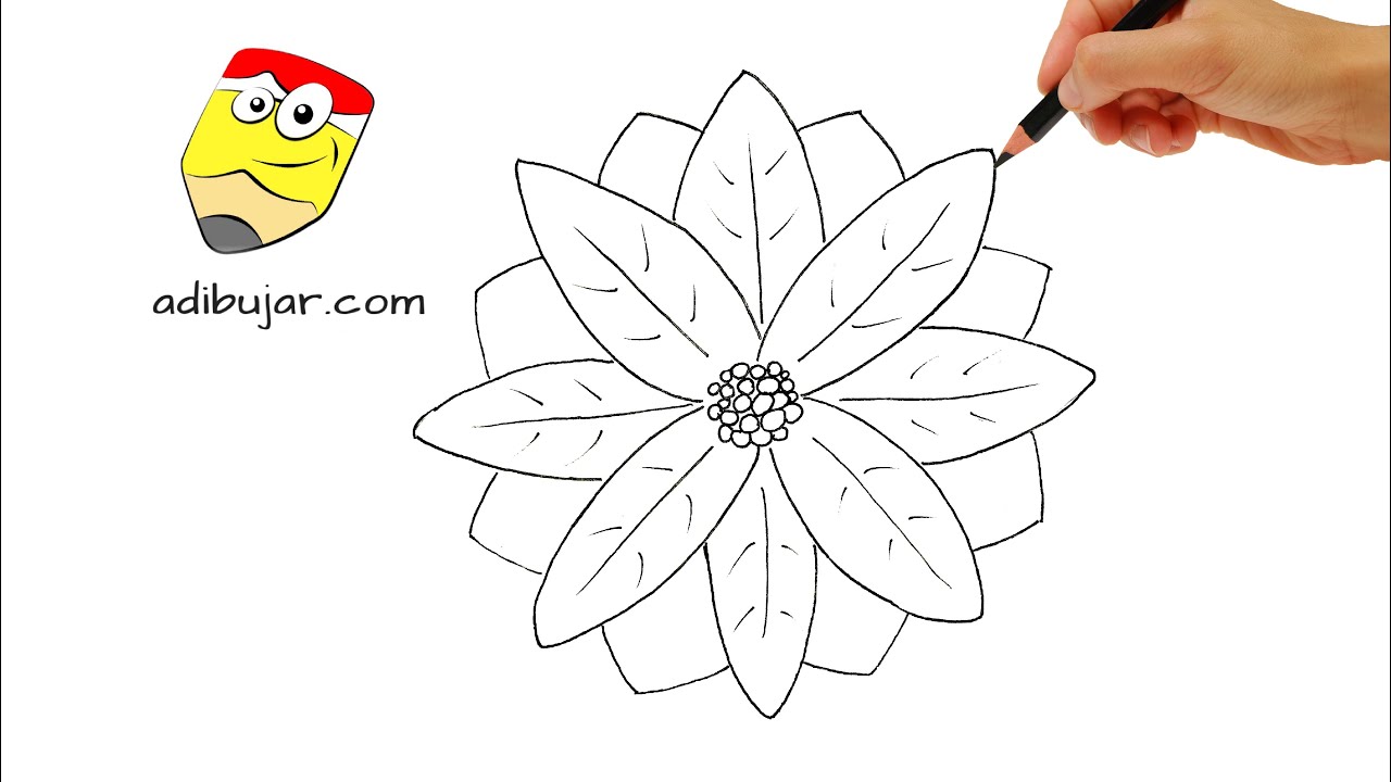 Cómo dibujar una flor de Pascua a lápiz fácil paso a paso | Adornos Navidad  - YouTube