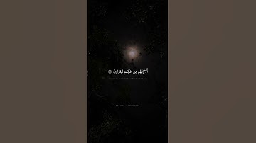فَاستَفتِهِم أَلِرَبِّكَ البَناتُ وَلَهُمُ البَنونَ | محمد صديق المنشاوي | سورة الصافات